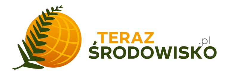 Teraz środowisko logo